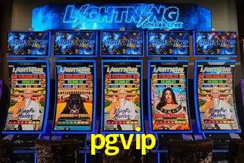 Descubra o Mundo do Cassino Online com pgvip