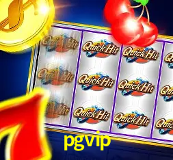 Interface do App pgvip